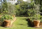 Blaxlands Ridgevegetable-gardens-3.jpg; ?>